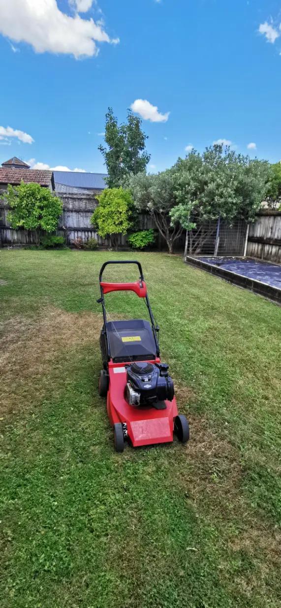 Happy Lawns at work on a Bay of Plenty lawn
