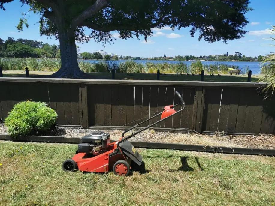 Close-up detail of lawn mowing work