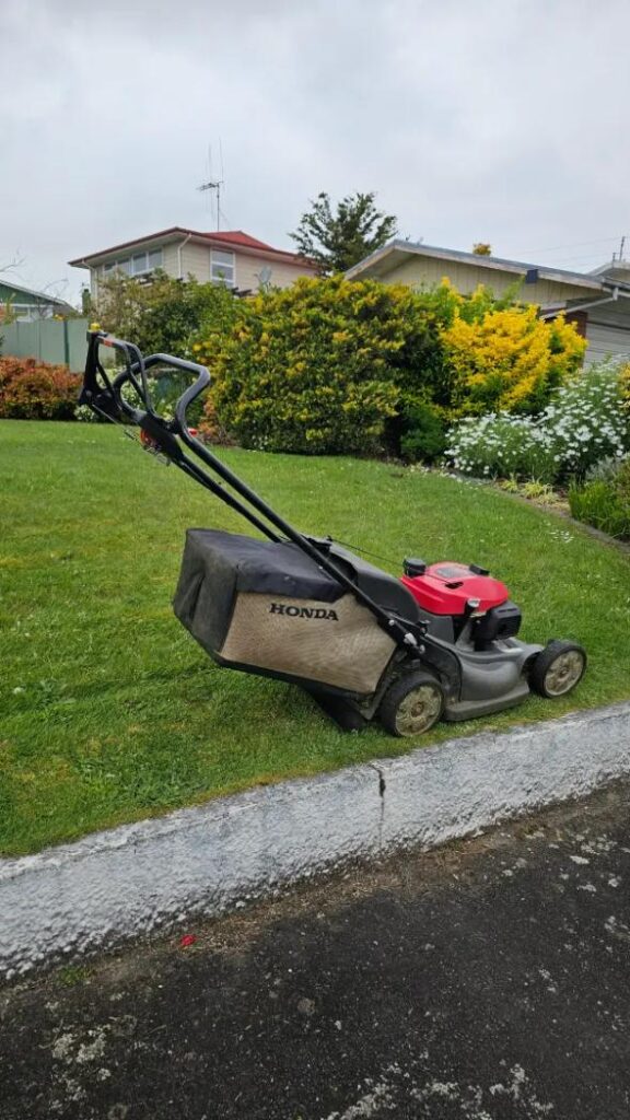 Lawn renovation in progress