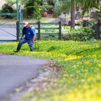 Weed spraying service by Happy Lawns